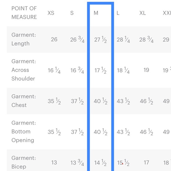 ❌SOLD❌ 2 Everlane Uniform Organic Cotton Tees - Picture 8 of 11